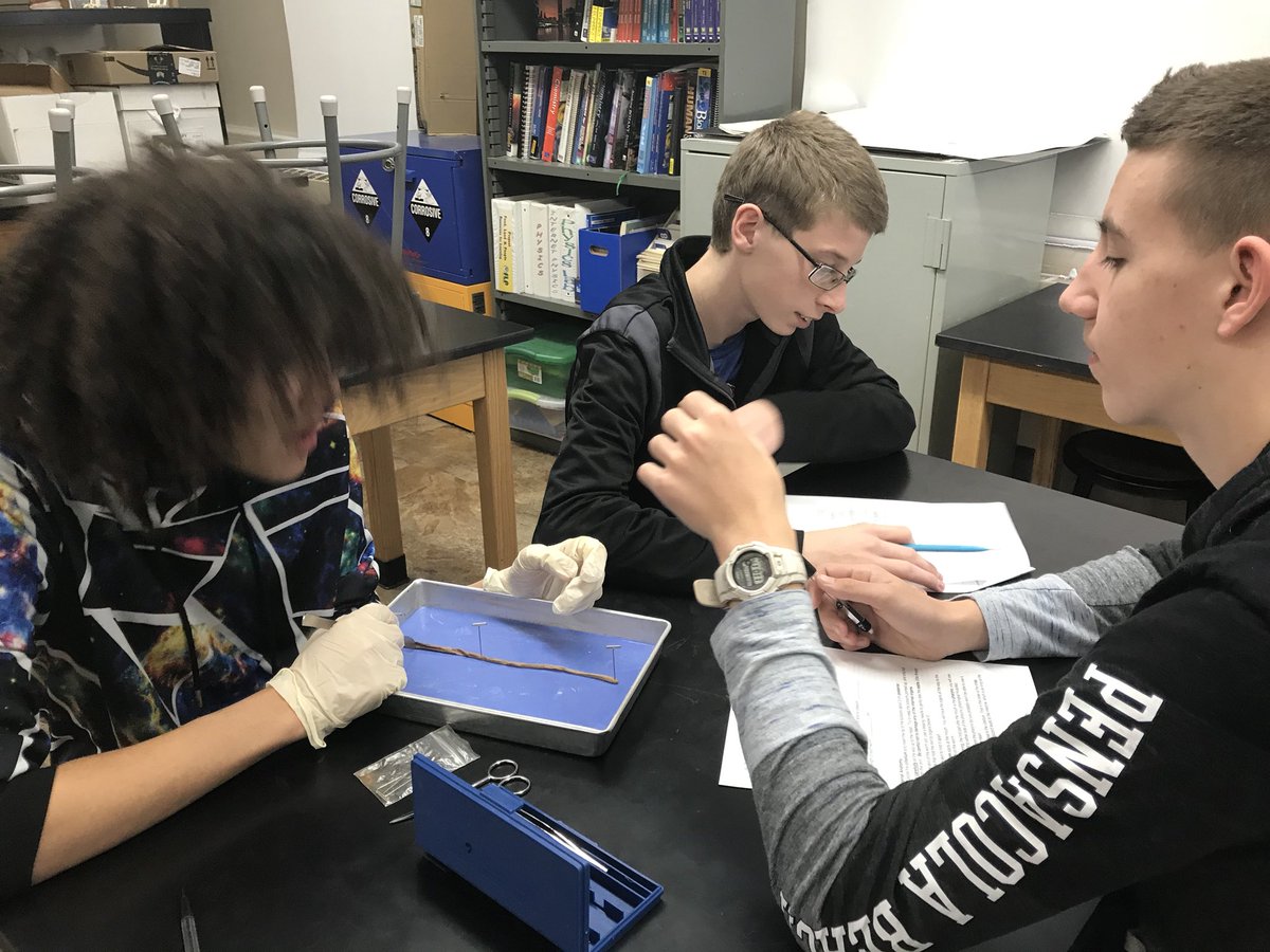 MrsMinorSCIENCE tweet picture