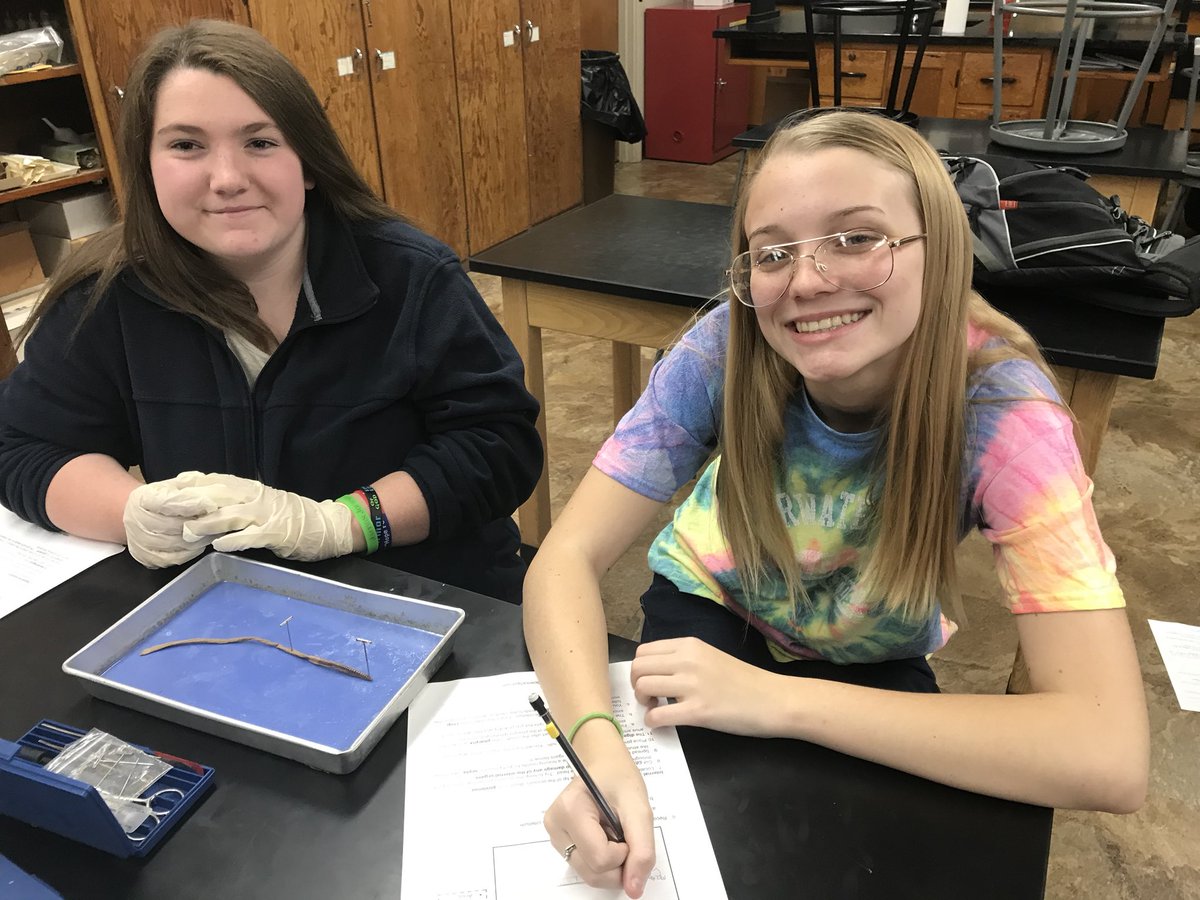 MrsMinorSCIENCE tweet picture