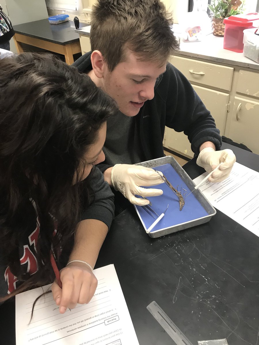 MrsMinorSCIENCE tweet picture