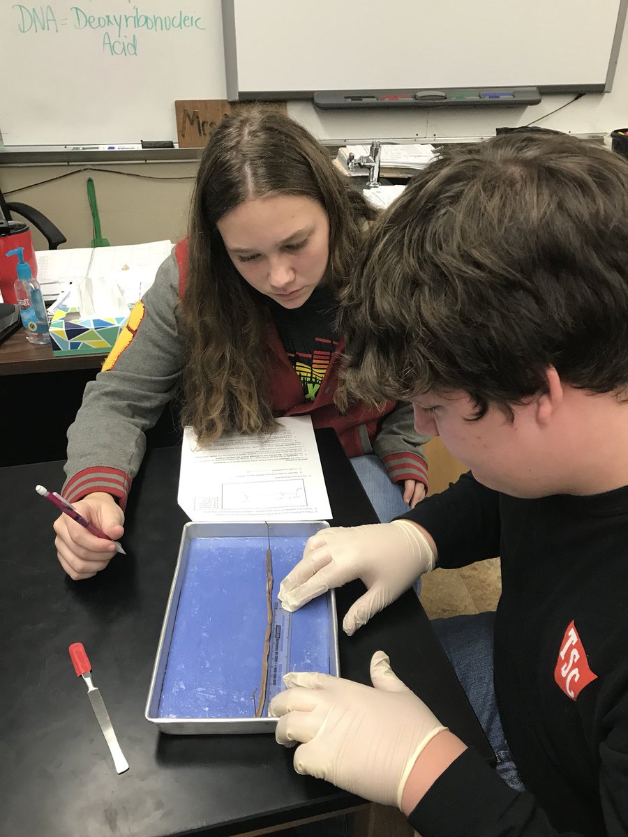 MrsMinorSCIENCE tweet picture
