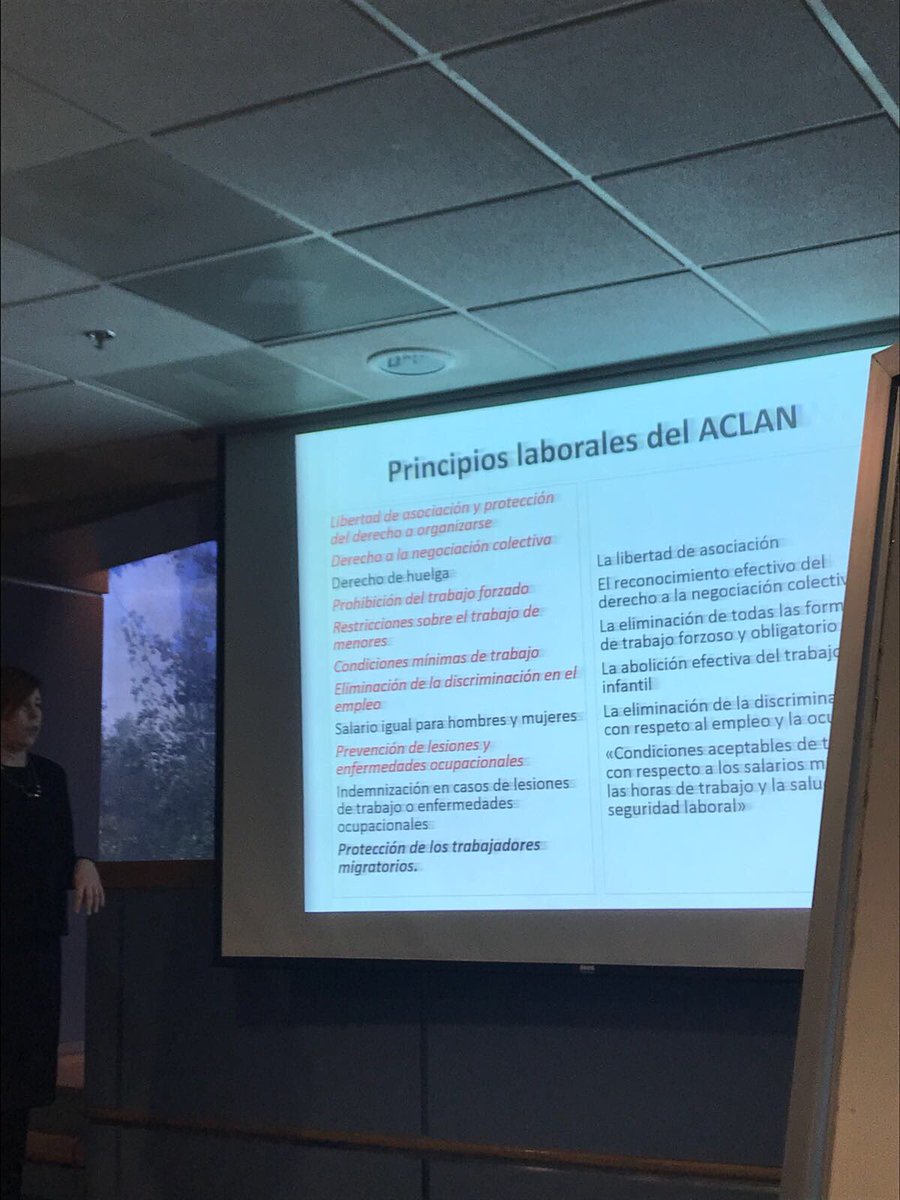 CGBSenado's tweet photo. .@KNolanGarcia expone ante investigadores del @CGBSenado sobre los principios laborales del #ACLAN dentro del #TLCAN🇲🇽🇨🇦🇺🇸#NAFTA https://t.co/Iilkbd0XHQ