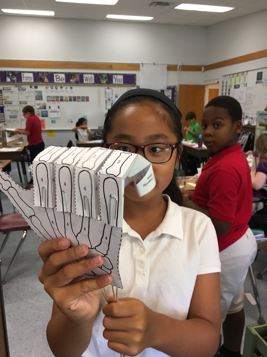 MrsMalik5thVES's tweet photo. Learning about #howhandmuscleswork and making #robotfingers & #robothands @MysterySci @VineyardsVipers @collierschools @ccpsSTEM @DiscoveryEd #staycurious #humanbodyunit #5thgrade https://t.co/LD7eKbsFzs