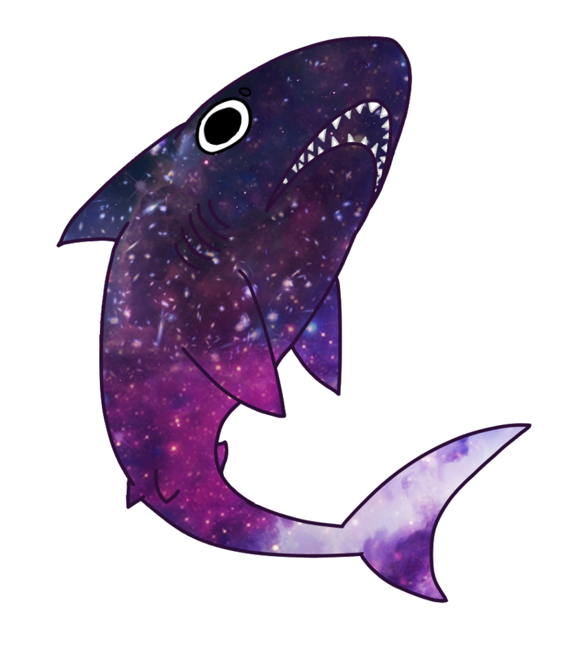 SharkSocket tweet picture