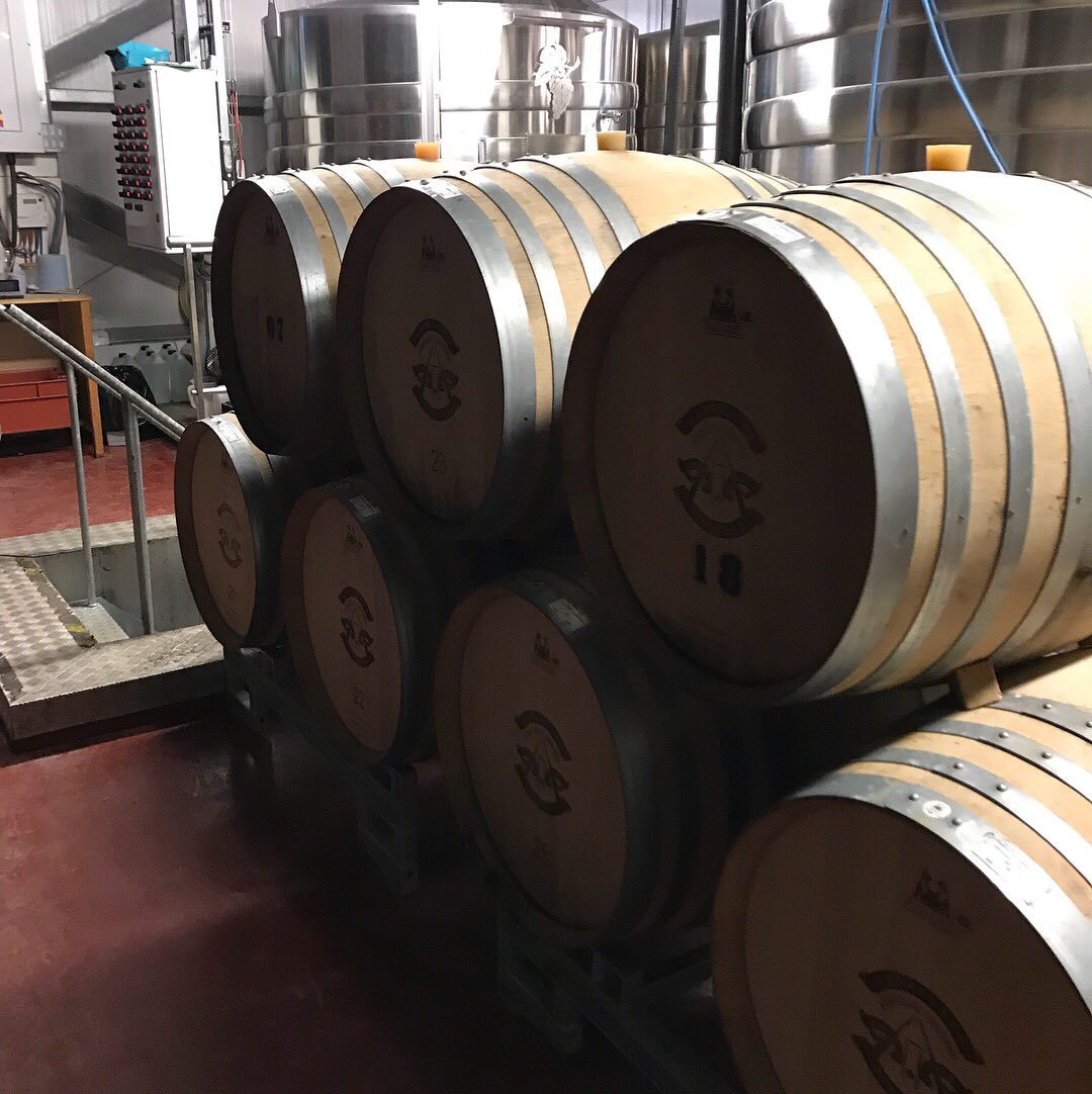 SolentHotel's tweet photo. Today Steve the hotel GM and key F&amp;D team members today visited @Hambledonwine for a tour of the vineyard and experienced both wines and knowledge #Hambledonwines #wines #vineyard #sparklingwine #thwaites #local #winelover #WineWednesday https://t.co/SYY7PcOfuT