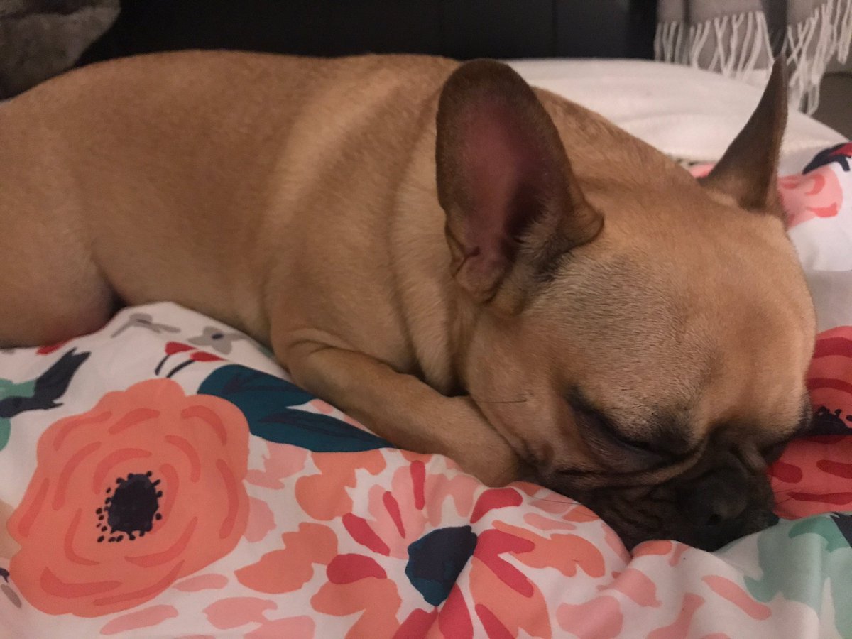 I love this little baby of mine.