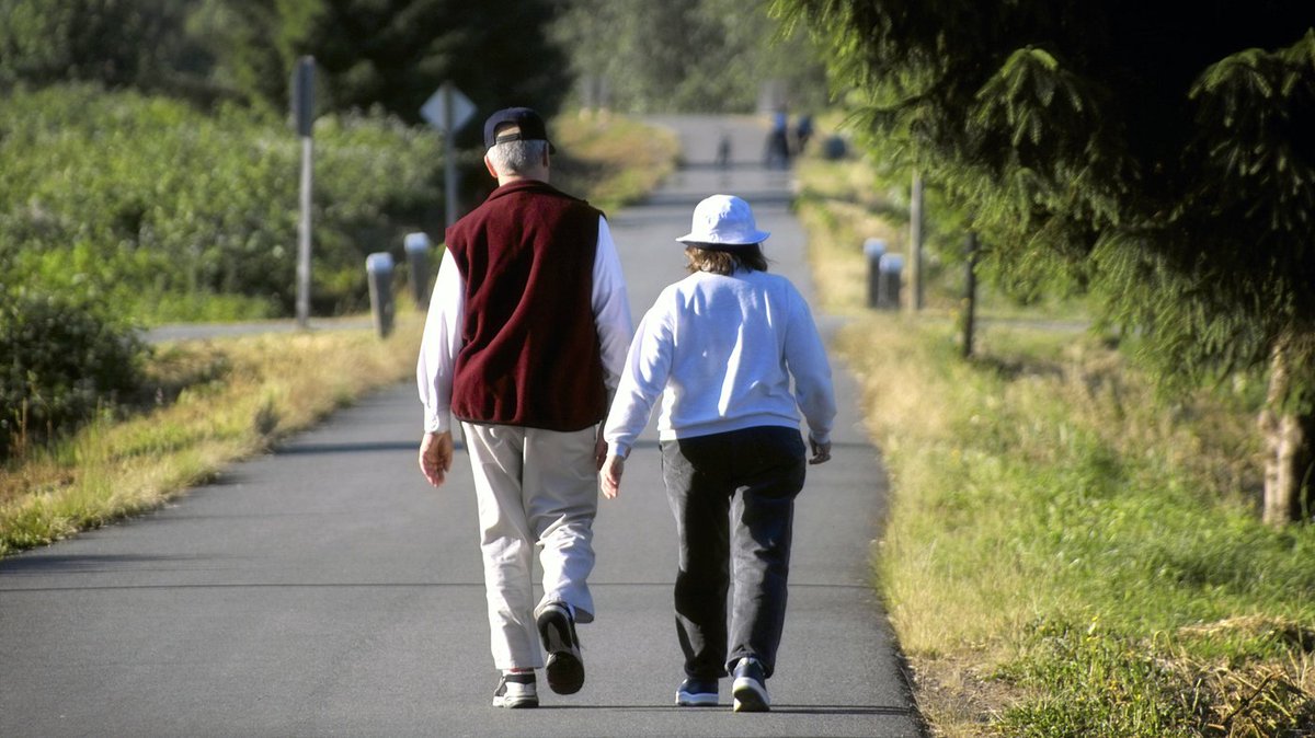 AISINC2's tweet photo. #Walking is a great way to burn off those extra Thanksgiving #calories. Creating the routine of walking daily benefits your physical and mental health too. #healthy #walkforexercise #walk https://t.co/wiyvWY8fyE