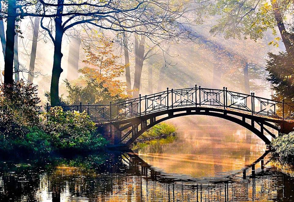 RoadBrook's tweet image. La vida es un suspiro, es un parpadeo, palpitar de un alma, sentir de un corazon, soplo divino, amigos, pan y vino. Sophön 
#OnlyFriend’s
#GreatMention’s
@Shu_la75 
@Mechis_M 
@ArqueraS1310 
@__AnnieMarie__ 
@Minlede 
@jokinmer 
@Fer_M66 
@BrettCateley 
@alejandrator2 
@arlenesg