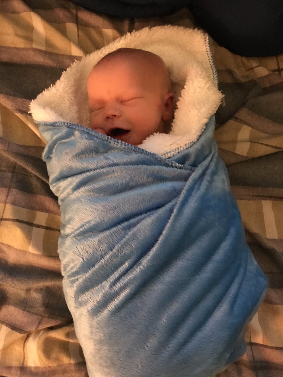 NoahDRoss's tweet photo. if burrito wrapping a baby were a sport, I'd have a full ride scholarship https://t.co/Dw5mgKMPf9
