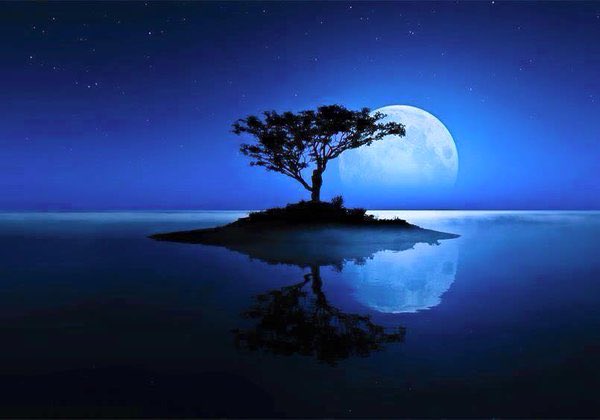 ..
اللهم افتح لدعائنا باب القبول والإجابة واغفر لنا ولوالدينا وجميع المسلمين برحمتك يا أرحم الراحمين
..