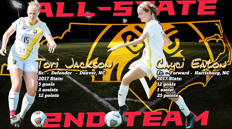 PfeifferSports's tweet photo. Tori Jackson and Cayci Eaton have been named Second Team All-State! #GoFalcons https://t.co/n8dN5777Qh