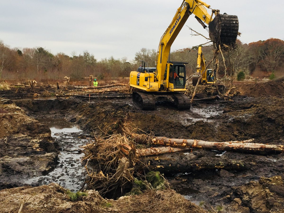 MassEcoRestore's tweet photo. Placing woody habitat in the newly constructed Coonamessett River channel in #Falmouth. #restoration https://t.co/TxOGGH5X4Q