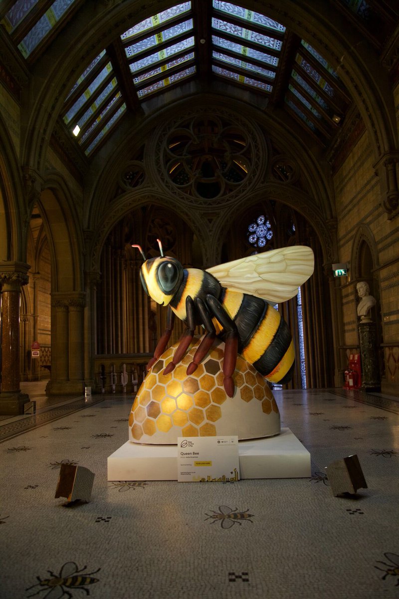 mcrarttrail's tweet photo. #BeeInTheCity will be a stunning public art trial of over 80 individually designed giant bee sculptures crafted by regional artists, which will weave its way across the city during summer 2018: https://t.co/d7oNBZoYC4 https://t.co/xhGwRLRvXG