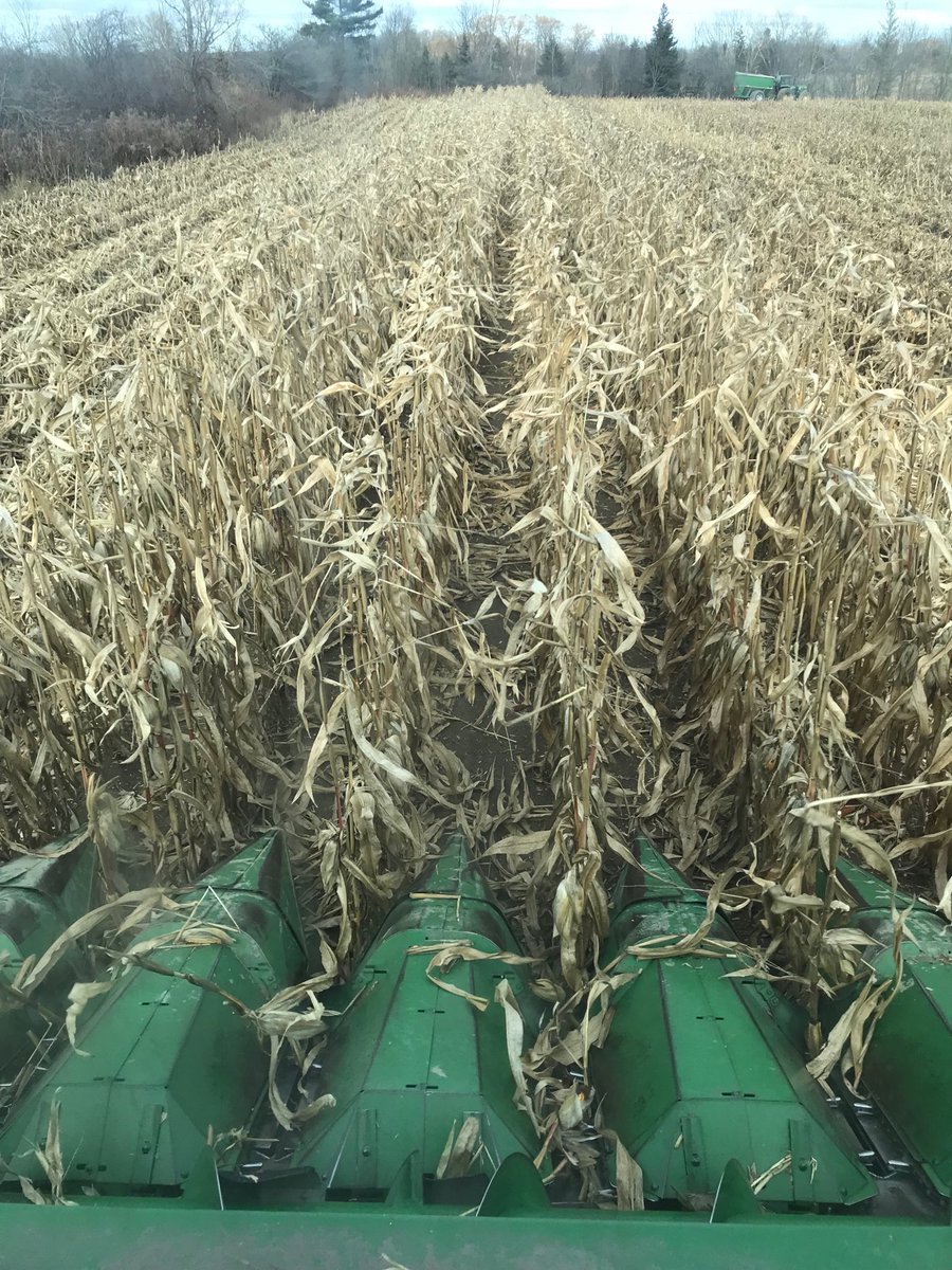 Happy,Happy,Happy the last 6 rows corn # harvest 2017