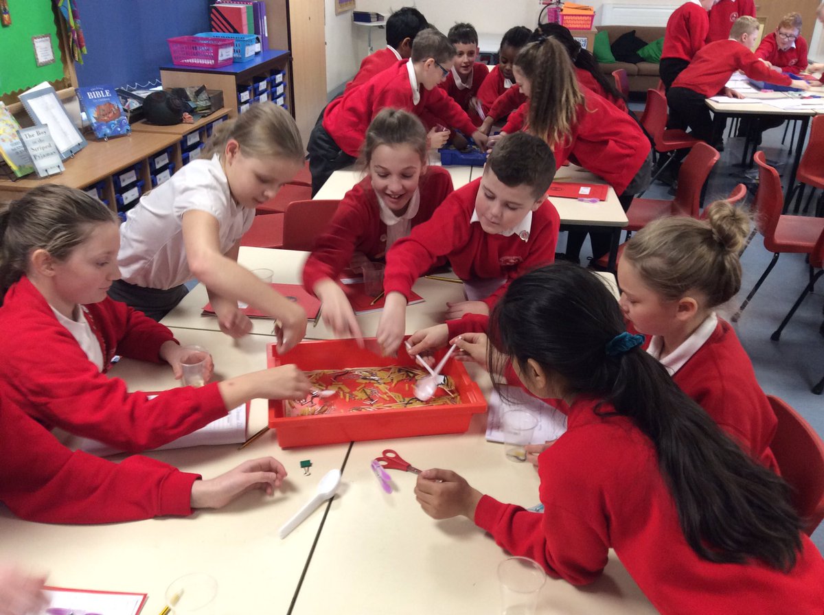dove_shell_fed's tweet photo. Year 6 learnt how the beak of a finch adapted in the Galapagos Island through an investigation. #DSF #DSFStTYear6 https://t.co/gGxHLTQNmx