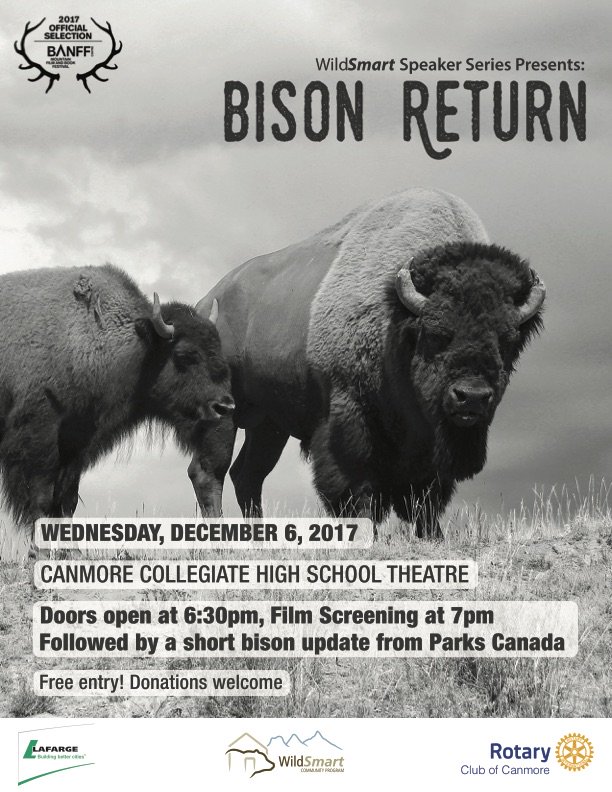 Excited that #bisonreturn will be screening in Canmore at 7pm on December 6th thanks @wildsmart @CanmoreRotary