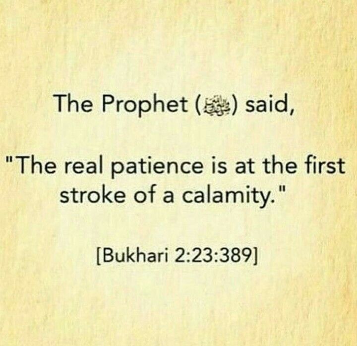 safaath ahmed on twitter wishing you your family a joyous