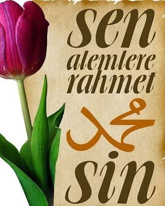 Sarehanım (@sarehanim10) on Twitter photo 