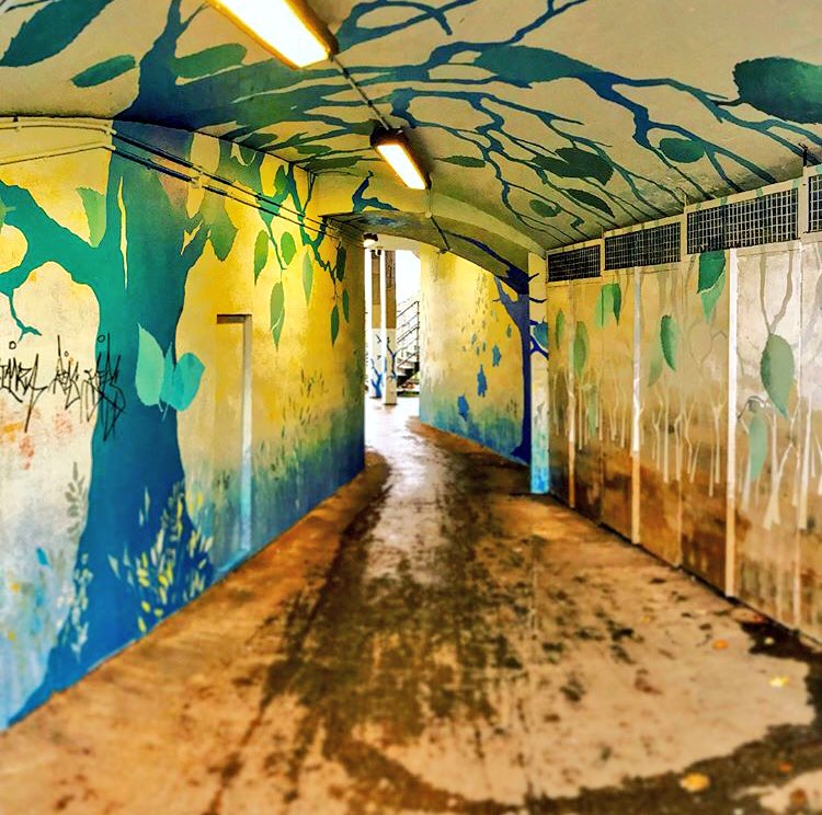 TeamCatford's tweet image. Tremendous trees! Fabulous forest! Great garden! Unbelievable underpass! Whatever alliterative description you chose it’s certainly a cornucopia of #Catford creativity. #Enjoy #LoveLocal