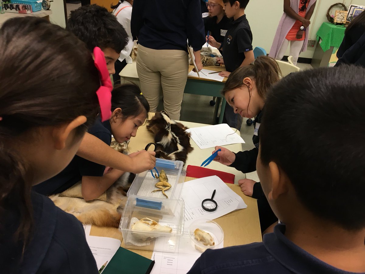 MalliaMicieli's tweet photo. Extending our learning of Habitats and Communities with @Sci_in_School #grade4fun @Stvictortcdsb @TCDSB https://t.co/vuYPl64Q2N