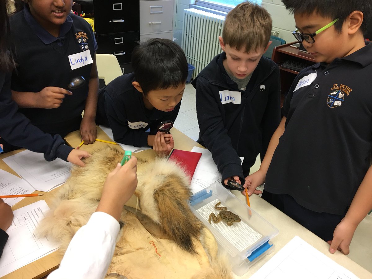 MalliaMicieli's tweet photo. Extending our learning of Habitats and Communities with @Sci_in_School #grade4fun @Stvictortcdsb @TCDSB https://t.co/vuYPl64Q2N