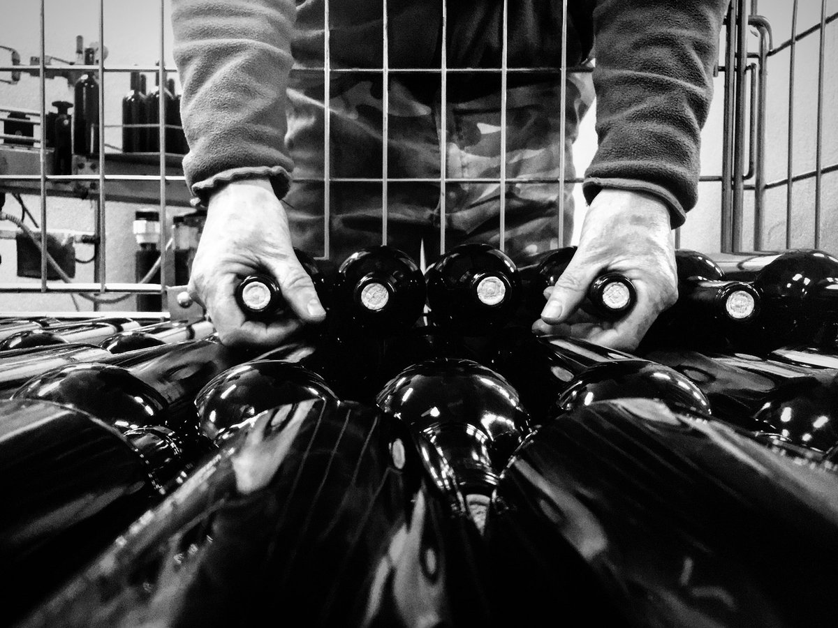 chiappiniwinery's tweet photo. Gianluca is playing #bottles 🥁🎧🍷
#imbottigliamento #wine #bolgheri #winelover #winemaker #toscana #chiappiniwinery https://t.co/Jw3AqH6Ag6