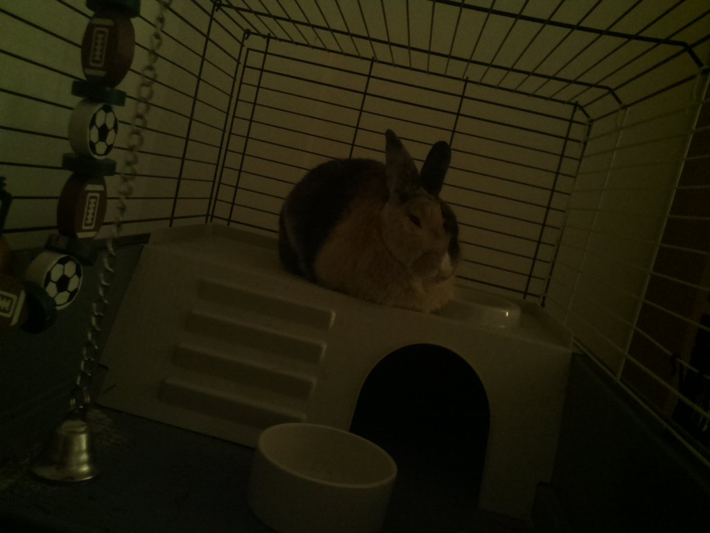 DexVision's tweet image. Dexvision live update at: 2017/11/29 19:00:02