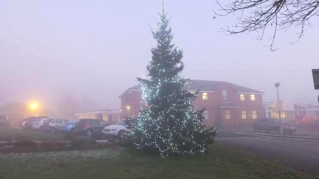 DougieMacStoke's tweet photo. So far 6550 lights will shine on our hospice tree in memory of loved ones. 
You can dedicate a light in memory of your special person to let their light shine.
Click here https://t.co/tEzNLQhikW or call our supporter hub on 01782 344304
 #LightUpALife2017 https://t.co/gwOzRfeaAV