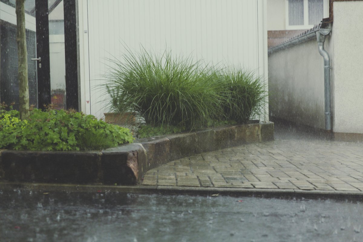 sunvekroofing's tweet photo. Big or small leaks, we can take care of them all. #sunvek #trustsunvek #repairlocal #supportlocal #roofingcompany https://t.co/tYWOjKTNnr https://t.co/OTZL3QsGWo