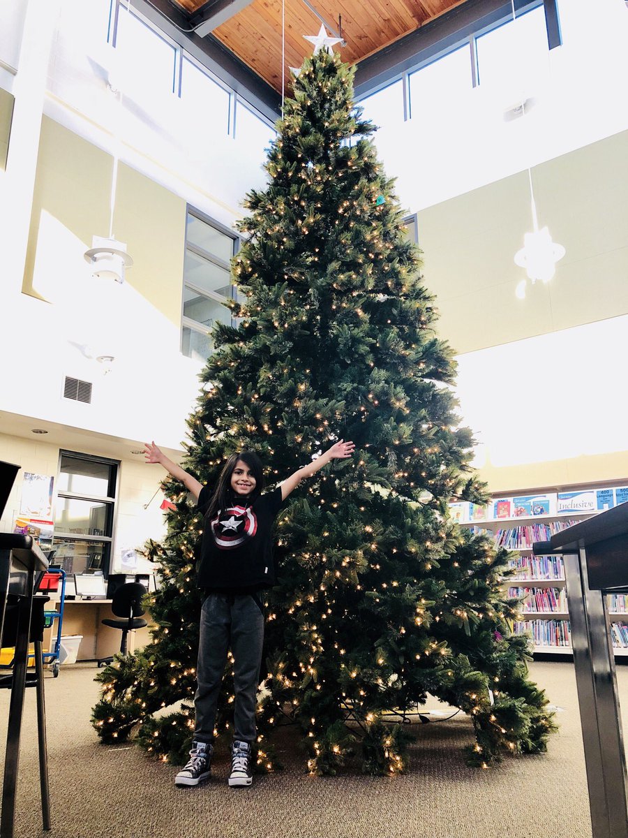misterbell5a's tweet photo. It’s beginning to look a lot like #Christmas at @JamesPotterPS, what with the addition of an ENORMOUS Christmas tree to our library! Thanks to Mr. DeMedieros for setting it up, and for bravely climbing a ladder to put the star at the top! @PeelSchools https://t.co/yQVB0cXam1