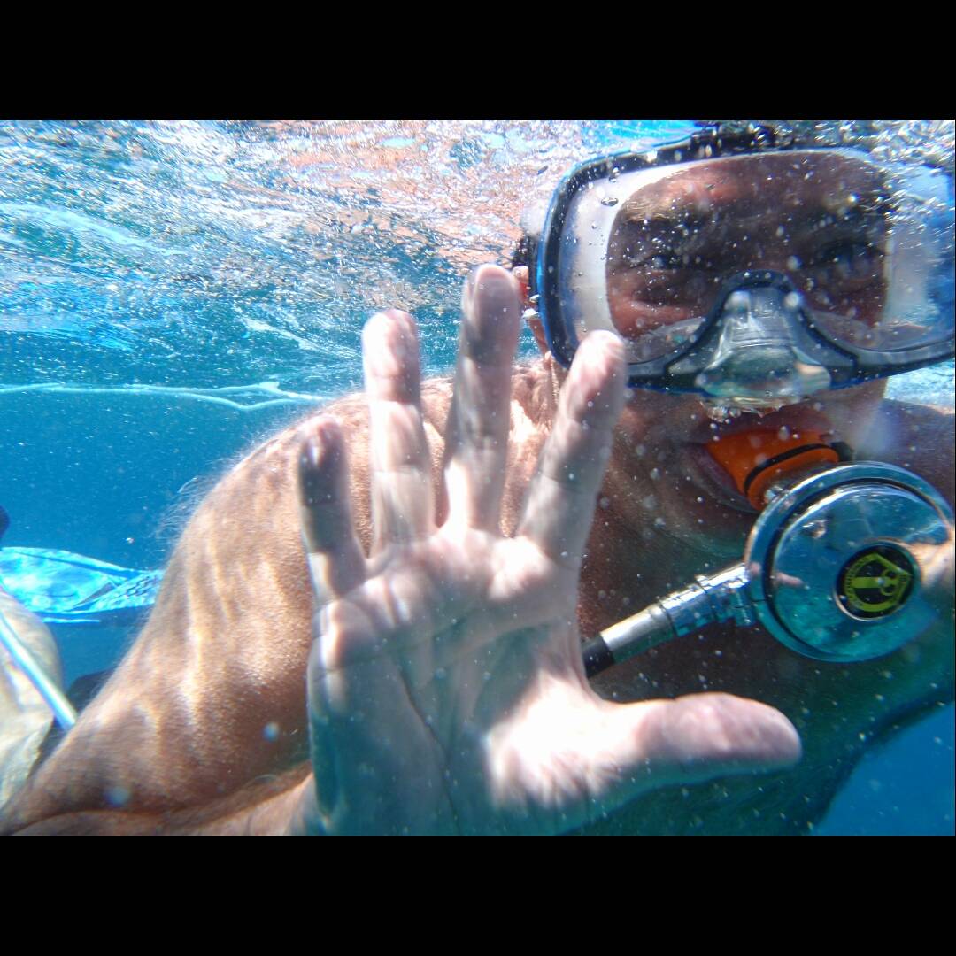 UniqueDiving's tweet photo. #watersports #wateractivities #dive #diving #snubadiving #scubadiving #family #fun #snorkel #lobstering #lobsterseason #tropicalfish #FloridaKeys #Tavernier #KeyLargo #fish #divecharter #FLKeys #divingtrip #Islamorada https://t.co/hdkCFjZZ7u