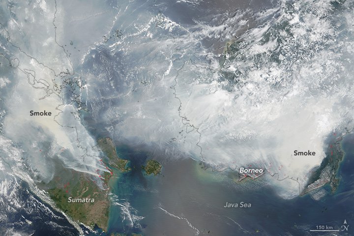 Why does the world need <a href="/IPBES/">ipbes</a>? 1: because environmental problems are global problems, in 3 key ways: chanslabviews.blogspot.ca/2017/09/why-do… #fundIPBES