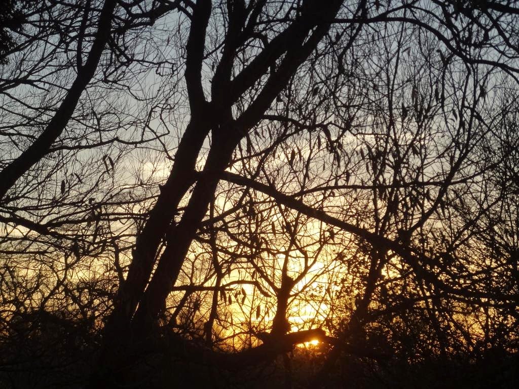 ClerkofOxford's tweet photo. A medieval poem for the last days of November: 'Winter wakeneth all my care' https://t.co/dNdD7Rrgeq https://t.co/0QZYafmyxl