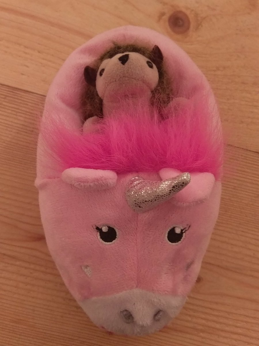 FuriouslyFree's tweet photo. @GrumpyHerman was left in the care of a 6yr old...

How did you sleep last night Herman? https://t.co/BRn9VVvnng