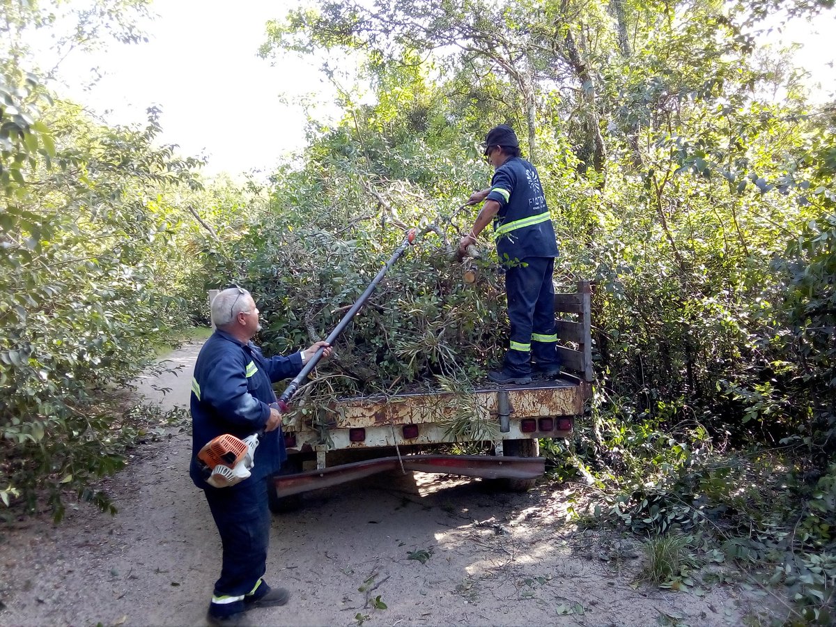 leonardofalero's tweet photo. Paseos Públicos Florida ya trabajando en Parque Robaina .Gestión ENCISO. @PajaroEnciso @MacarenaRubioF @AndreaBrugman @g_lopezmendez @arizaga_oscar @leocorujoo @ddossantos62 https://t.co/09yZj8OP9T