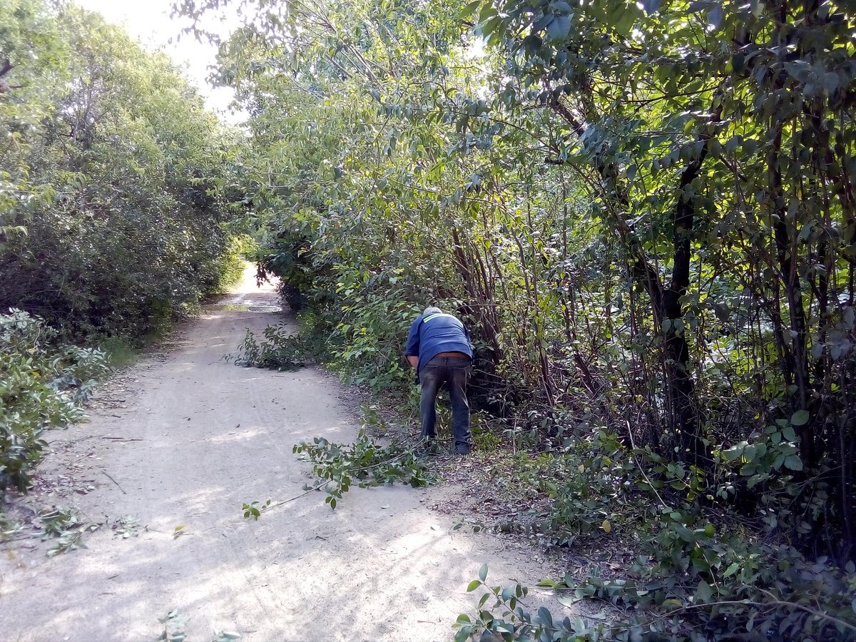 leonardofalero's tweet photo. Paseos Públicos Florida ya trabajando en Parque Robaina .Gestión ENCISO. @PajaroEnciso @MacarenaRubioF @AndreaBrugman @g_lopezmendez @arizaga_oscar @leocorujoo @ddossantos62 https://t.co/09yZj8OP9T