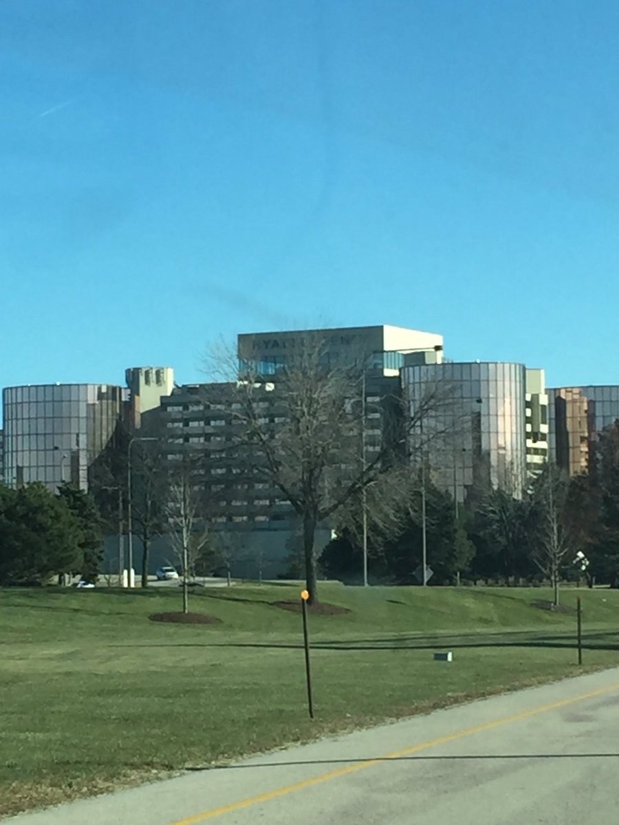 GambleDeer's tweet image. The bois have arived @CloudHusky @TobyDingo #mff2013