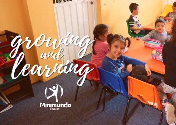 MinimundoLingua's tweet photo. Nuestros alumnos siempre felices aprendiendo❤️😊. Pregunta por nuestras clases de inglés y matemáticas. https://t.co/TeH9jCcPMQ