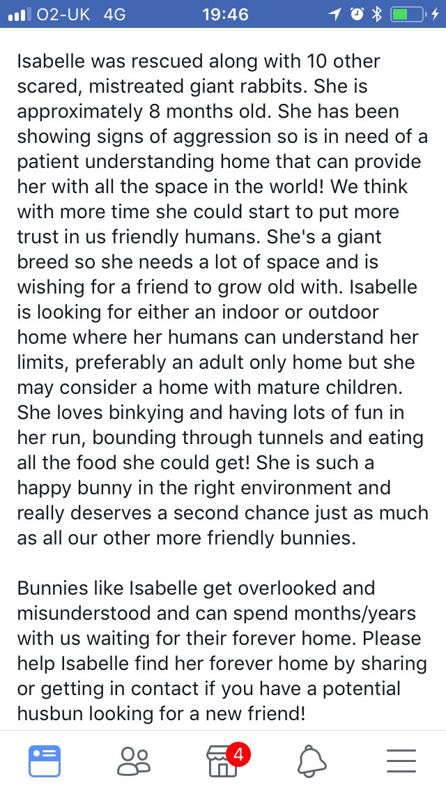 LittlestLives's tweet image. LOOKING FOR A SPECIAL HOME FOR THIS BEAUTIFUL GIRL ISABELLE.