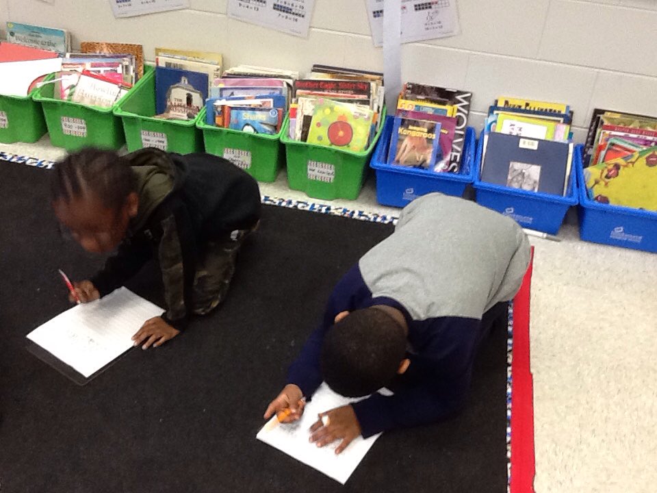 JenReichardt1's tweet photo. Drafting our letters to Home Depot. We want to build a bat house. @flossmoorsd161 @SerenaHills_161 https://t.co/UKKYKxzI3r