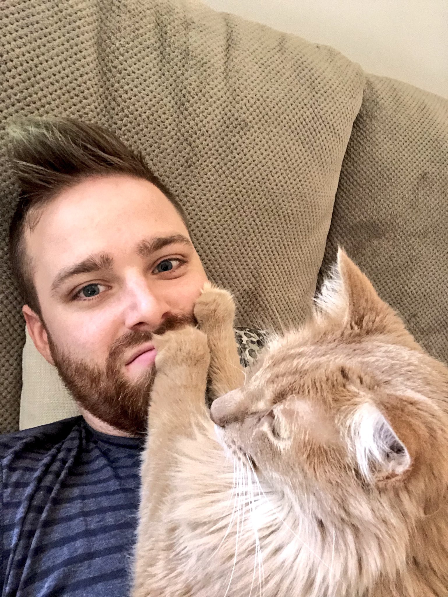 DP0yQvQVoAA3-Z9.jpg:large