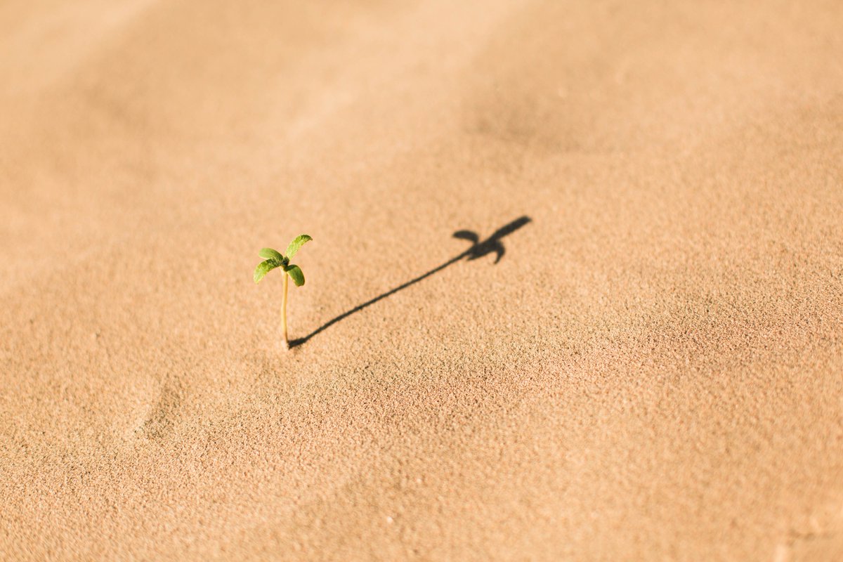 thenumanity's tweet photo. "We must accept finite disappointment, but never lose infinite hope." - Martin Luther King Jr #HaveHope #WednesdayWisdom #StartUp #SocEnt #GiveBack
.
.
.
Photo by @EvanKirby2 on @unsplash https://t.co/wiHYG7O0ie
