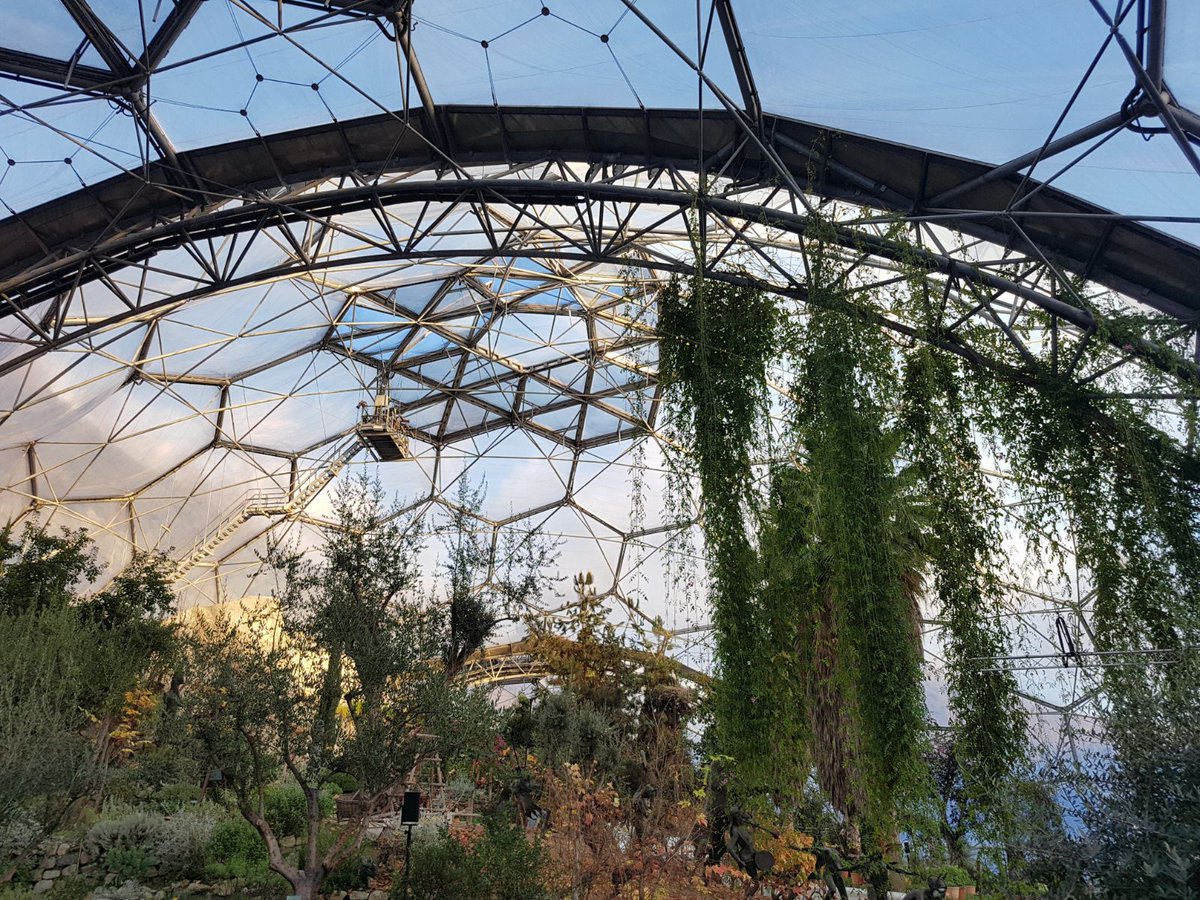 TetraMap's tweet photo. A superb venue for #TetraMap Certification Course @edenproject 
Learning in nature, from nature.  Love it! @TetraMapUK @TetraMapUS https://t.co/6r7E95akwD