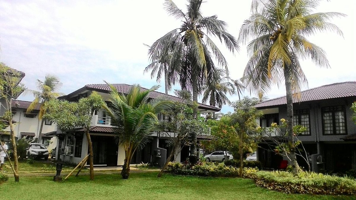 jayakartaanyer's tweet photo. Good morning 🌿🌴🌳 #thejayakartaanyer #hotelinanyer #hotelanyer #backtonature #holiday #villasinanyer #hotelbanten #explorebanten #exploreanyer https://t.co/aXeqLGEBAw