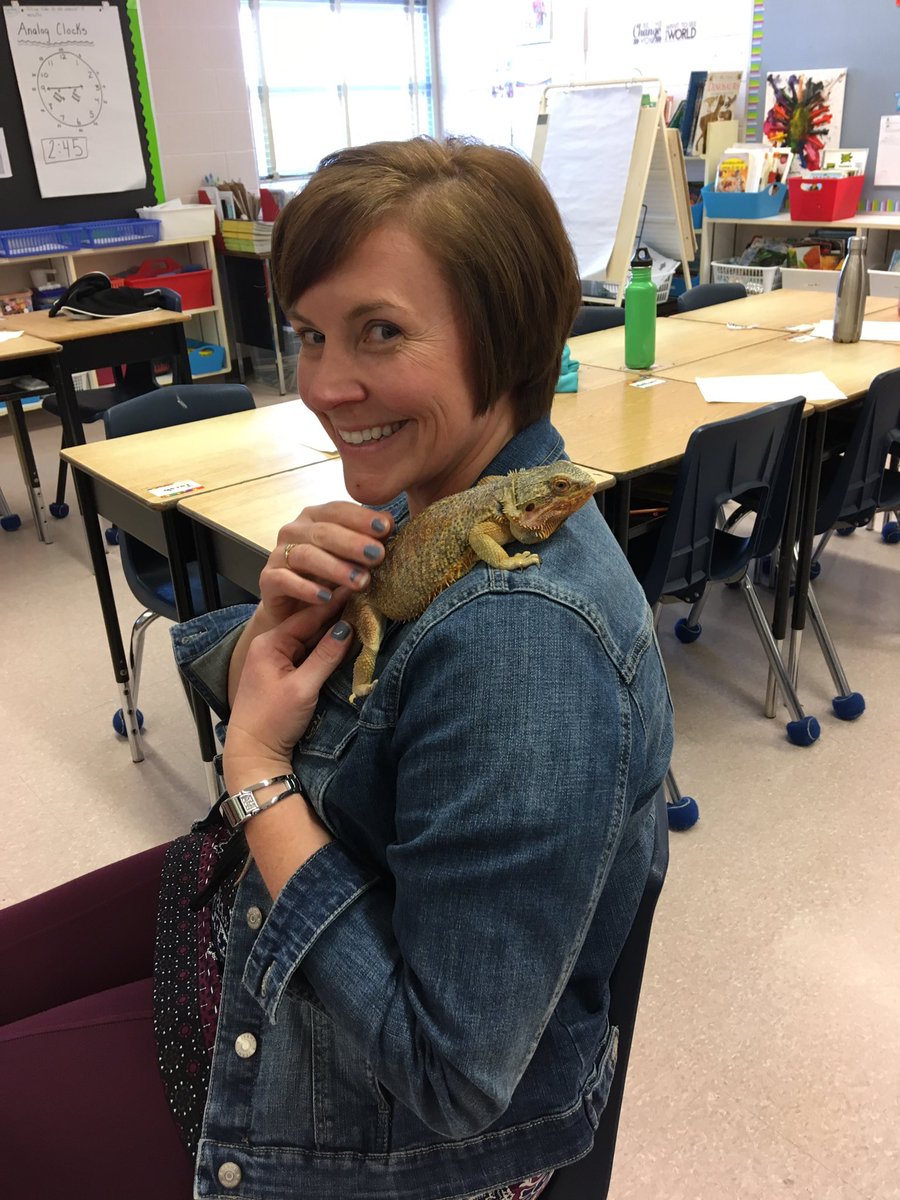 LisaUuldriks's tweet photo. Spent some time learning about lizards in a grade 3 class @LangtonPS today. Lots of great questions #tldsblearns #forcedsmile https://t.co/ersugojDmZ