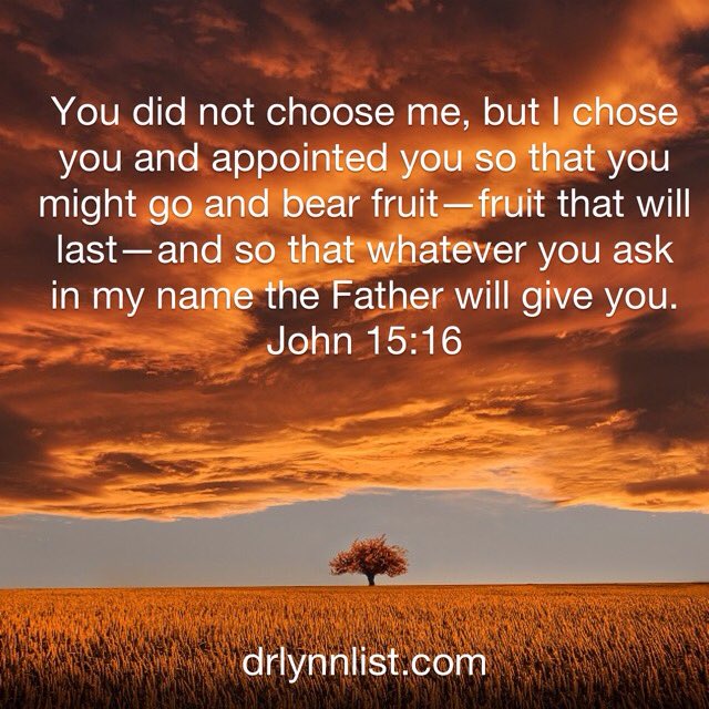 Dr Lynn List ✝ tweet media