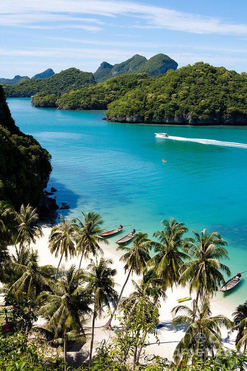 tonysama's tweet photo. #TravelAsia #travelblog #somewhereoutthere #aroundasia #asia #asian #asians #travel #travelsolo #Wanderlust #beach #beaches #summerblog #summerposts #boho #bohemian #bohochic #travelinspiration #mountains #tropics #tropical #palmtrees https://t.co/ZhpQfYp5PP