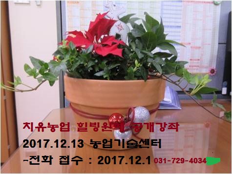 치유농업의 일환으로 식물과 교감하는 원예활동을 통하여 마음을 치유하는 힐링원예체험 공개강좌 접수를12월 1일 금요일 09:00부터 선착순 마감시까지 접수중입니다^^ 문의사항은 전화 031-729-4034/35로! #성남시