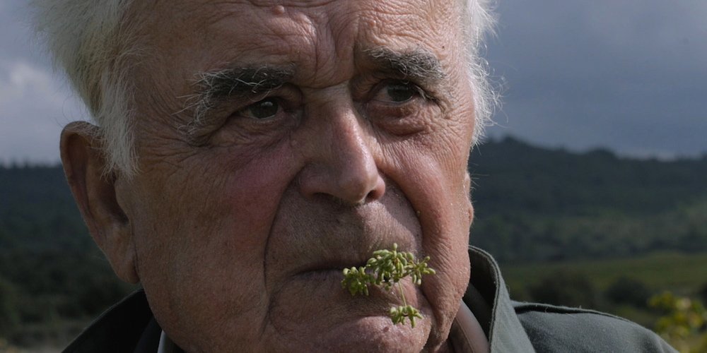 FilmetteFest's tweet photo. Never heard of "the gunfight of Montredon"? The doc WINE WARS tells the fascinating history of a radical winemakers movement in France. Where: @Harvestworks; When: Sat 4PM; #Filmette2017 TIX: https://t.co/e4ro0cdJLs https://t.co/BOYkB4Kudk