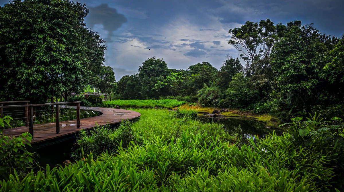 InThaime's tweet photo. A tad overly colored, but colors that bring out the sense of wonder of walking there - #photography #Bangkok #Thailand #postcard #probably https://t.co/56uCmJmsCt