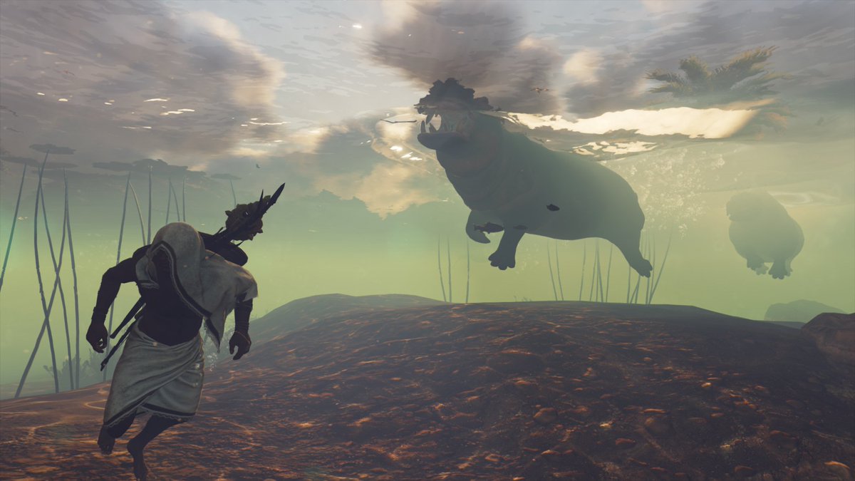 RoxNotKiddo's tweet photo. DON'T MESS WITH HIPPOS GUESTS!!! #acorigins #AssassinsCreedOrigins #AssassinsCreed #RoxNotKiddo #Filminggames #Awesome #roxberrykiddo #egypt #photos #pictureday #artist #youtuber #influencer #editor #lol #haha #Rox #bayek #sweg #yo #hippopotamus #Hello #yolo #whatisgoingon #sweet https://t.co/dr0RUWqpuJ